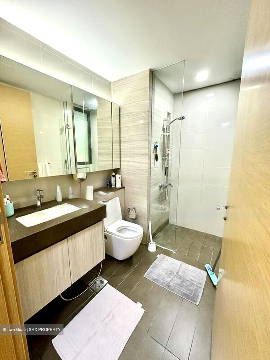 Hedges Park Condominium (D17), Condominium #501741421